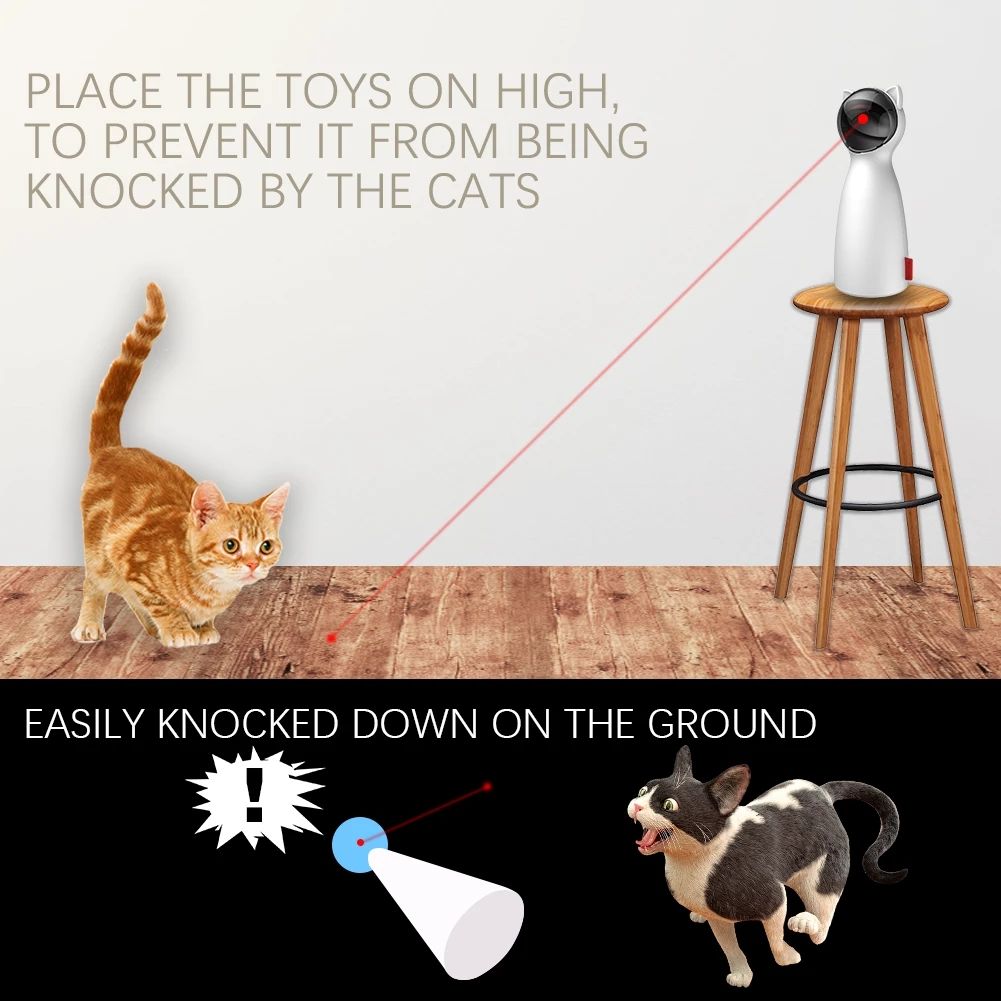 Cat Teaser